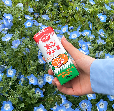 2026.4.6 ポンジュース.jpg