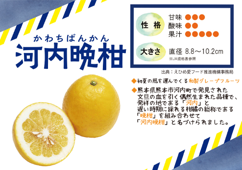 柑橘紹介.png
