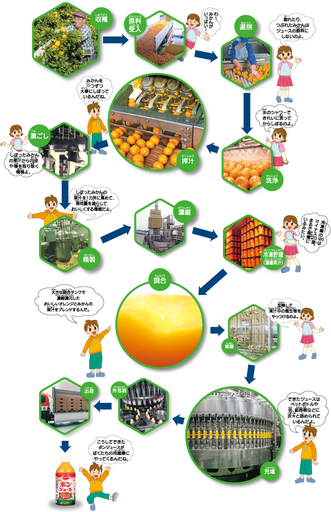 ポンジュースができるまで
