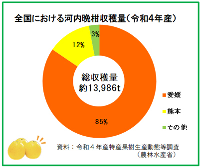 グラフ（河内晩柑）.jpg