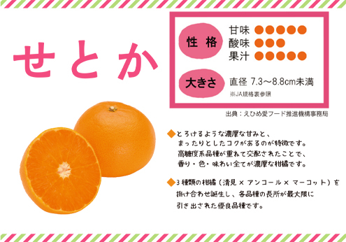 柑橘紹介（せとか）.jpg